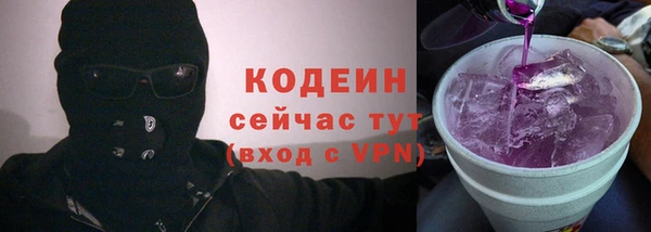 индика Покров