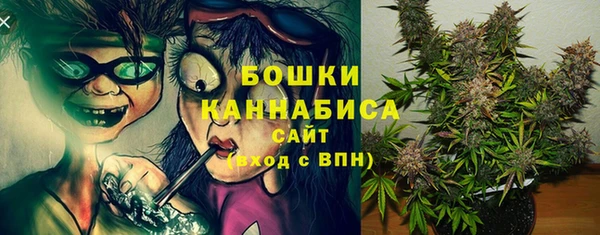 индика Покров