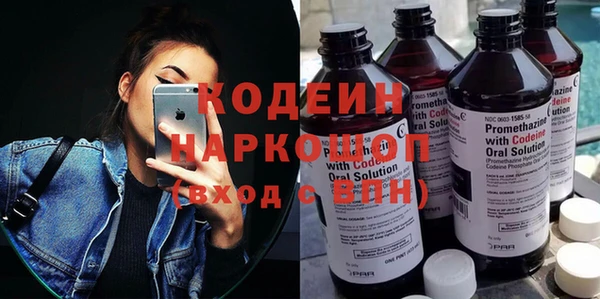 индика Покров