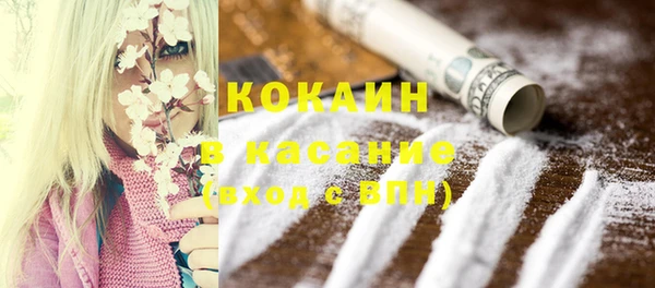 индика Покров