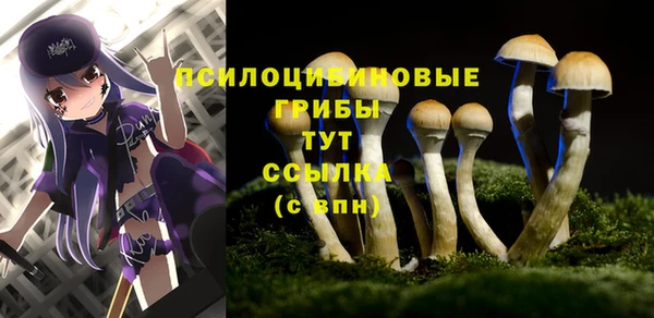дмт Покачи